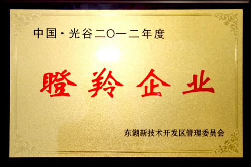 武汉wnsr威尼斯光电成功入选2012年度瞪羚企业